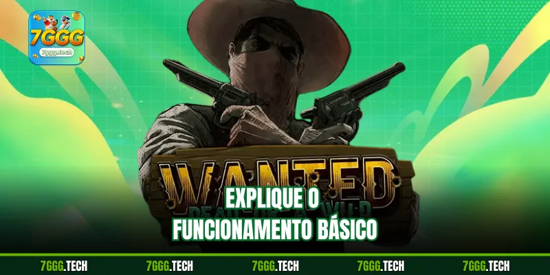Explique o funcionamento básico